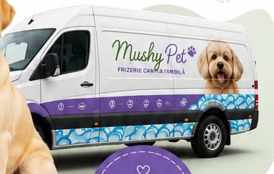 Duba Mushy Pet
